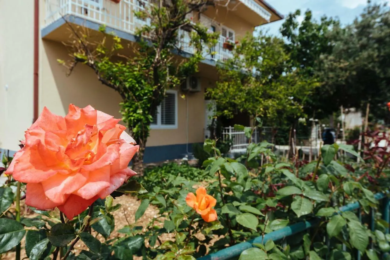 Apartment Apartman Ankica Hotel Trogir