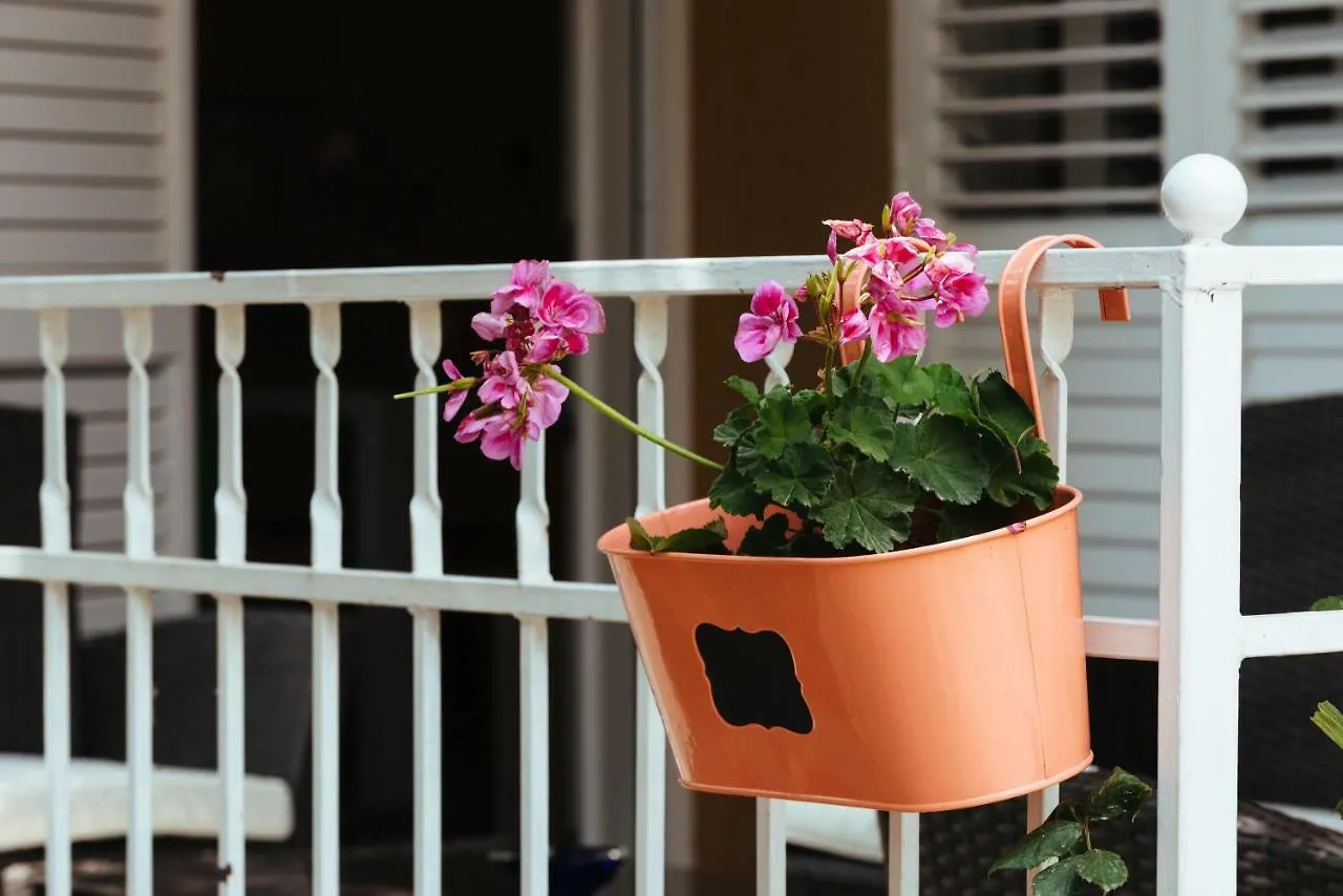 Apartman Ankica Hotel Trogir Apartment